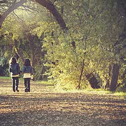 Two children walking in forest surrounded by trees